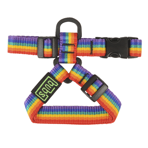Petral rainbow