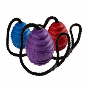 Rubber Oval Ball on a Rope Small
