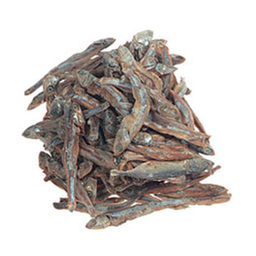 Anchoa