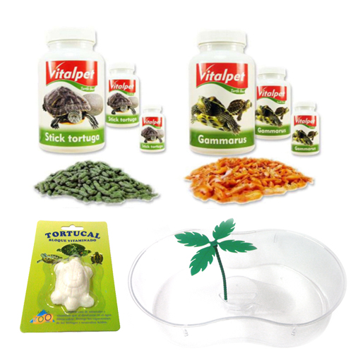 TORTUGAS Y REPTILES