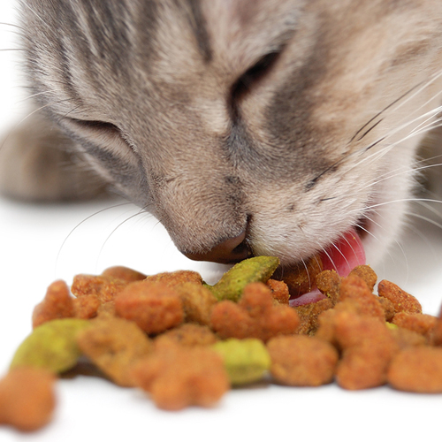 SNACKS
