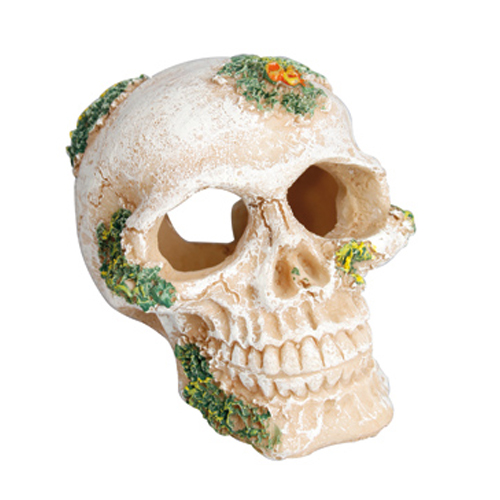 Calavera