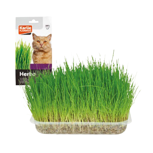 Hierba