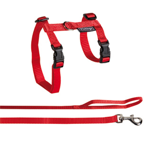 Arnés + correa xl rojo