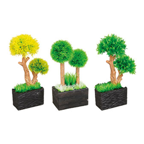 Bonsai