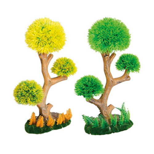 bonsai