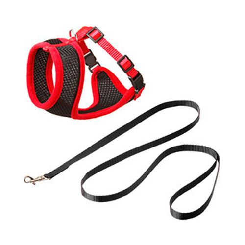 Set arnes gato xxl negro rojo