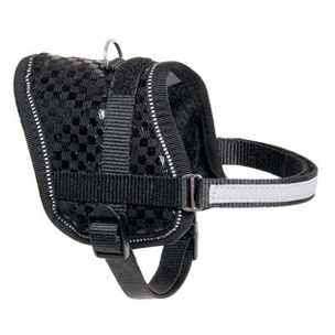 Arnés Teeny Negro 26-35cm