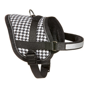 60179 Tenny blanco negro