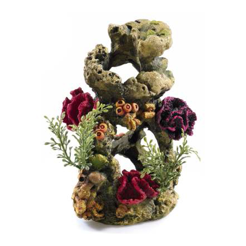 Coral