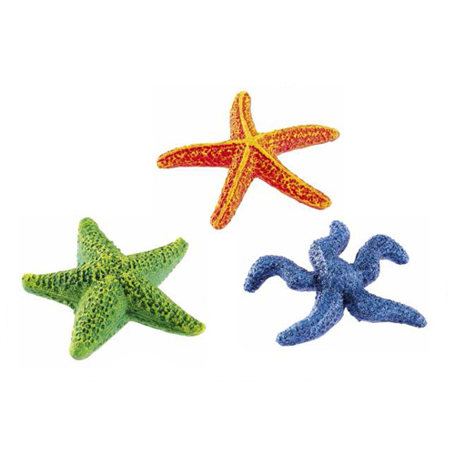 Surtido estrellas de mar