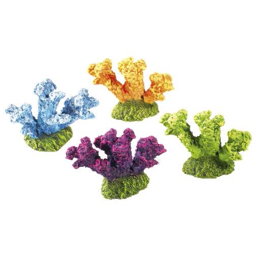Coral