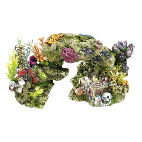 rocas y plantas
