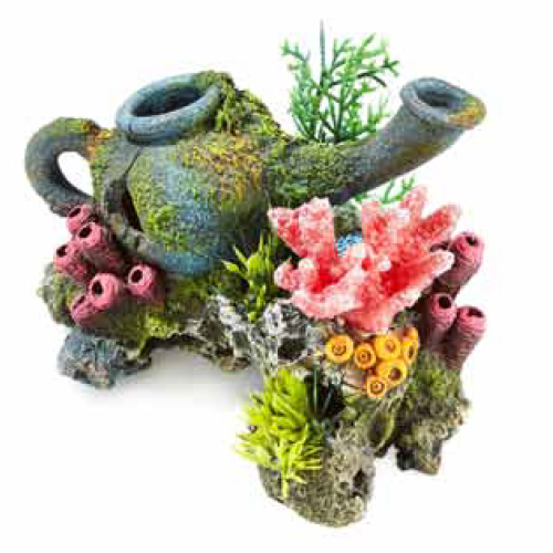 Jarra con rocas y plantas