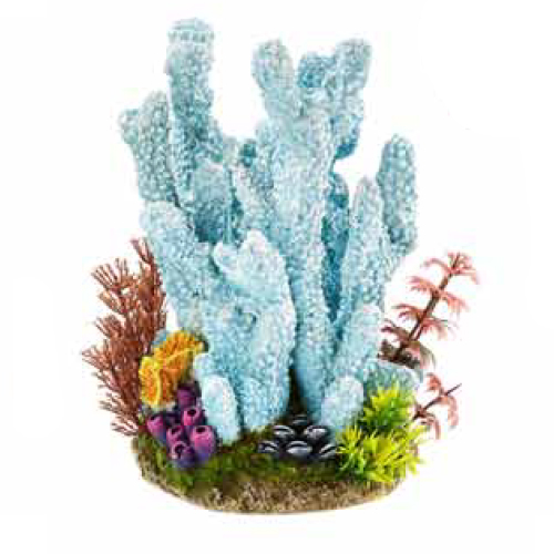 Coral azul