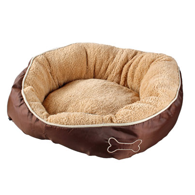 cama perro