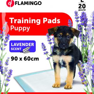 Empapadores educativos aroma lavanda T3 20uds