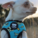 Arnés Calaveras Reversible Dukier T2 (2 en1) - Imagen 2