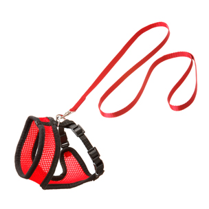 Set arnés gatito rojo/negro 110cm 10mm T.S