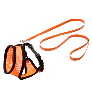 Set arnés gato naranja/negro 110cm 10mm T.M