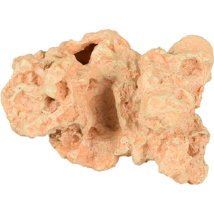 Coral Sahara