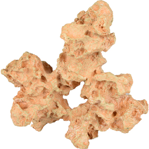 Coral Sahara Grande