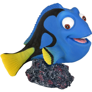 Pez Cirujano