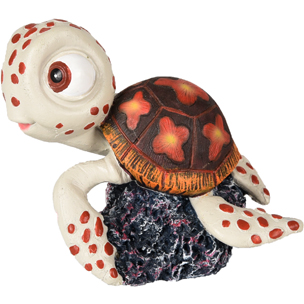 Tortuga