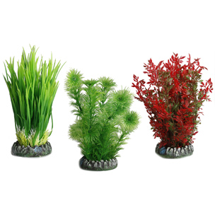 PLANTA DE PLÁSTICO SRI LANKA SURT. - S 13 CM