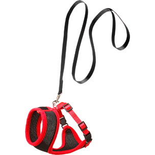 Set arnés gato negro/rojo 110cm 10mm T.M