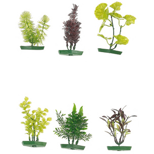 PLANTA ACUARIO SURTIDO PEQUEÑO 10 cm surtido 6 uds