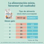 Schesir kitten crema  atún 0-6 meses 150 gr - Imagen 4