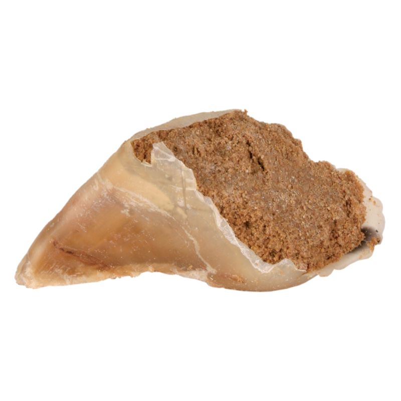 Uñas de buey rellenas con pollo