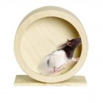 JUGUETE DANCO RUEDA MADERA 29 cm DIÁMETRO - Imagen 2