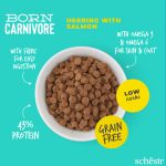 SCHESIR PIENSO  BORN CARNIVORE ARENQUE Y SALMÓN 255 GR - Imagen 3