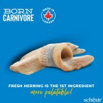 SCHESIR PIENSO  BORN CARNIVORE ARENQUE Y SALMÓN 255 GR - Imagen 2