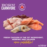 SCHESIR PIENSO  BORN CARNIVORE POLLO CON ARENQUE Y SALMÓN 1.25 GR - Imagen 2