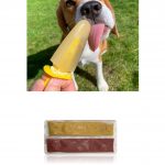 HELADO PARA PERRO FRUTAS ROSEWOOD PACK DE 4 UDS - Imagen 2