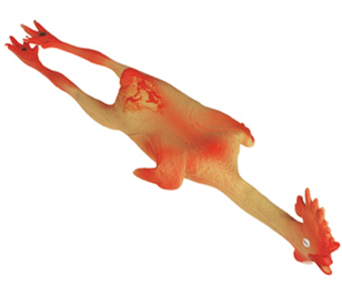 Pollo latex perro