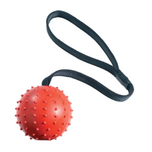 Pimple Ball & Rope
