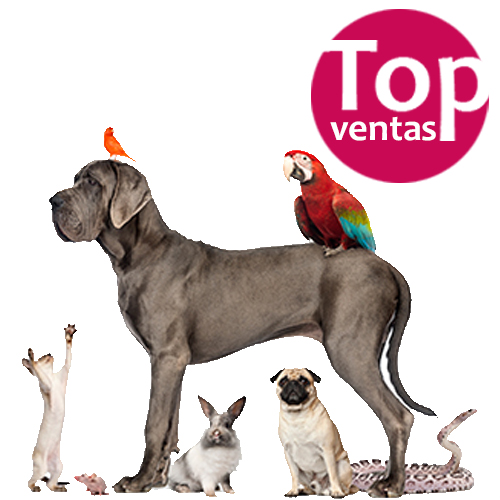 ¡TOP VENTAS!