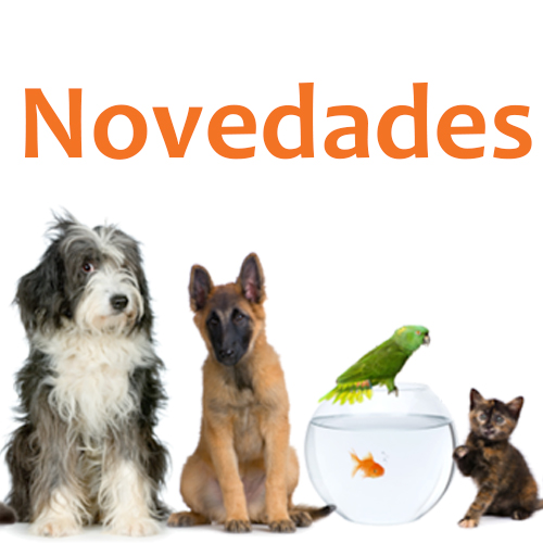 ¡NOVEDADES!