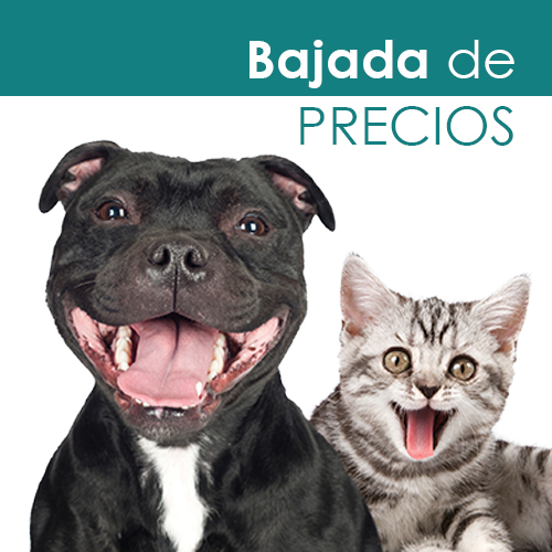 ¡BAJADA DE PRECIOS!