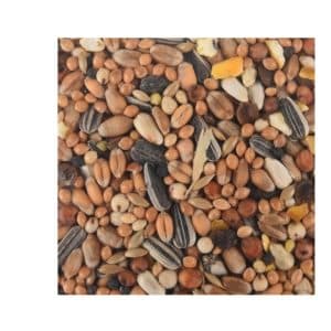 mezcla de semillas para aves silvestres 4 estaciones 5 kg