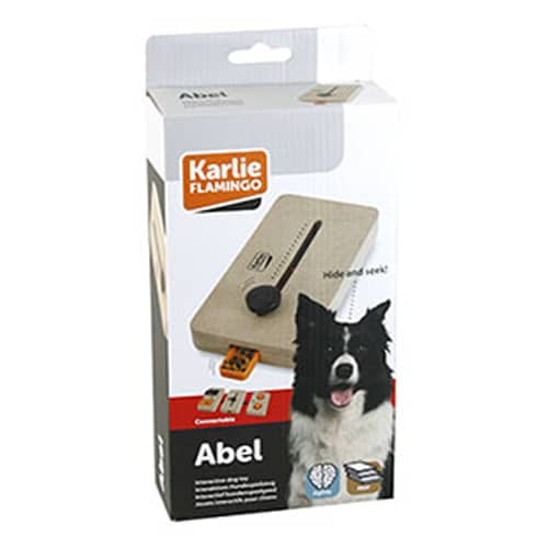 1030968 - W brain train abel 22x12 cm