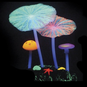 1953 Aqua Lumo Multicolor champiñon
