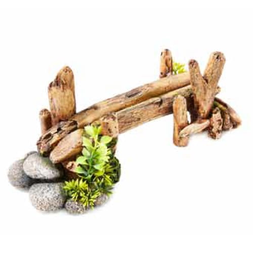 Puente de bambú con plantas