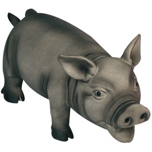 cerdo negro con sonido