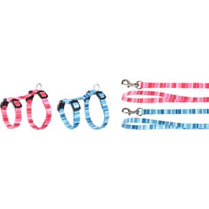 arnés para gatitos+correa alfry t.1