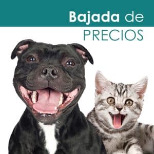 Bajada de precios